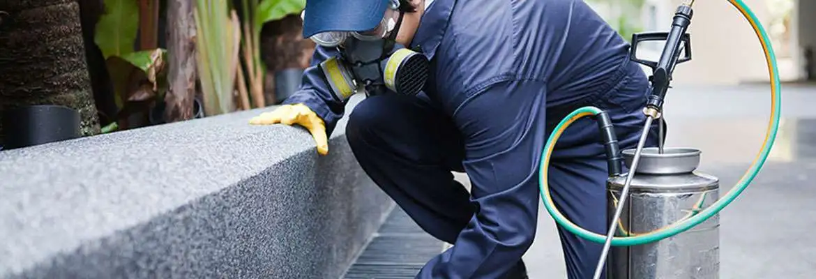 Controle Integrado de Pragas