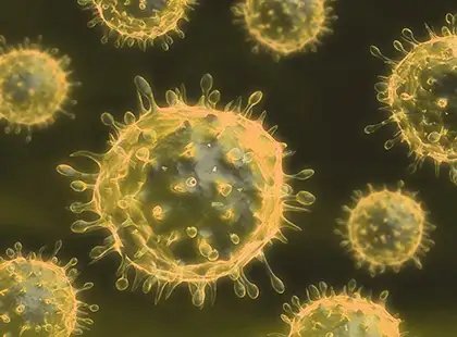 Hepatites Virais Hepatites Virais