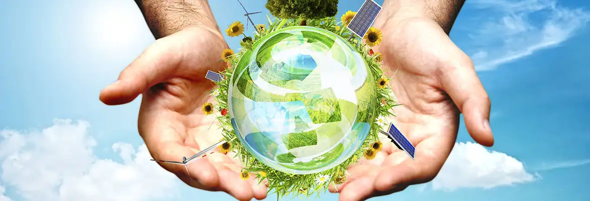 Desenvolvimento Sustentável