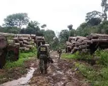 Biopirataria Biopirataria