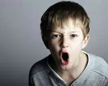 Inclusão da Criança com Transtorno Opositivo Desafiador  - TOD Inclusão da Criança com Transtorno Opositivo Desafiador  - TOD