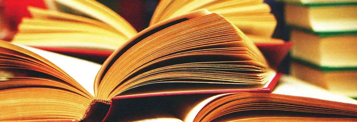 Metodologia do Ensino da Língua Portuguesa Metodologia do Ensino da Língua Portuguesa