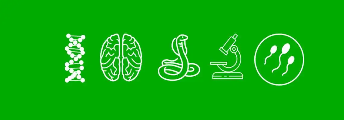 Ensino de Biologia Ensino de Biologia