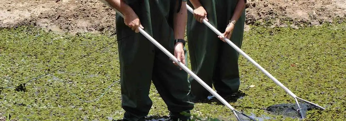 Noções de Biomonitoramento  Noções de Biomonitoramento