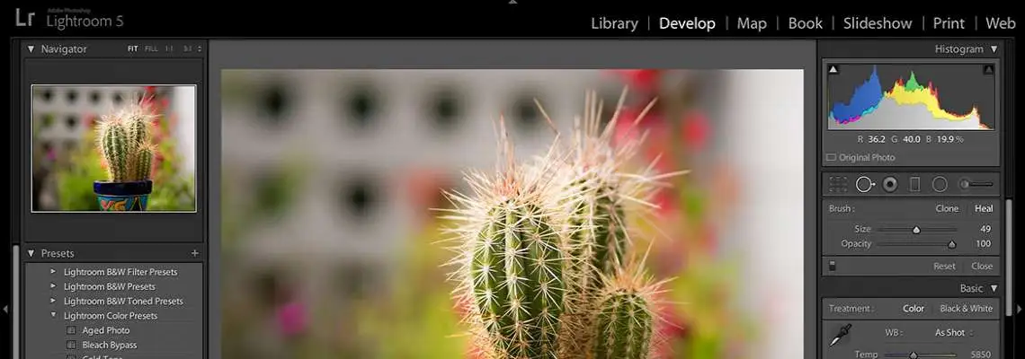 Adobe Lightroom  Adobe Lightroom