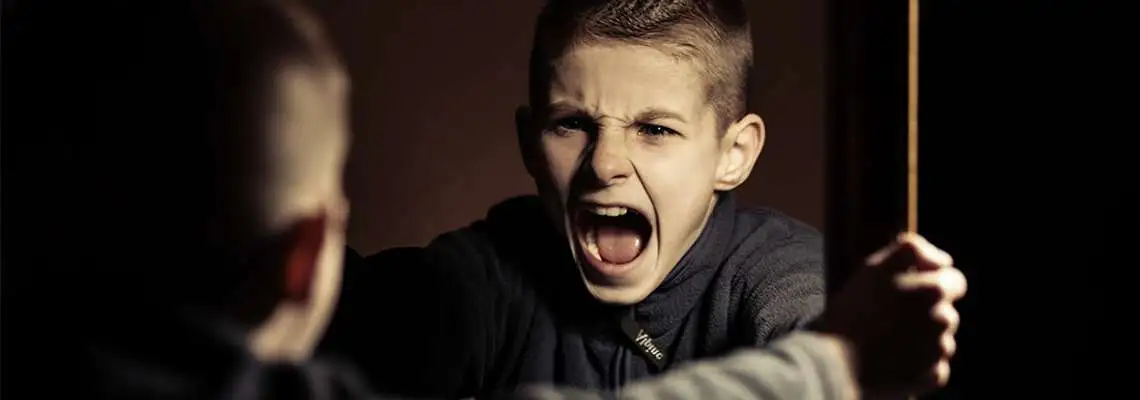 Inclusão da Criança com Transtorno Opositivo Desafiador  - TOD Inclusão da Criança com Transtorno Opositivo Desafiador  - TOD