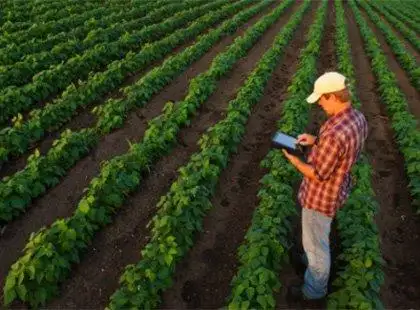 Gestão de Agronegócios Gestão de Agronegócios