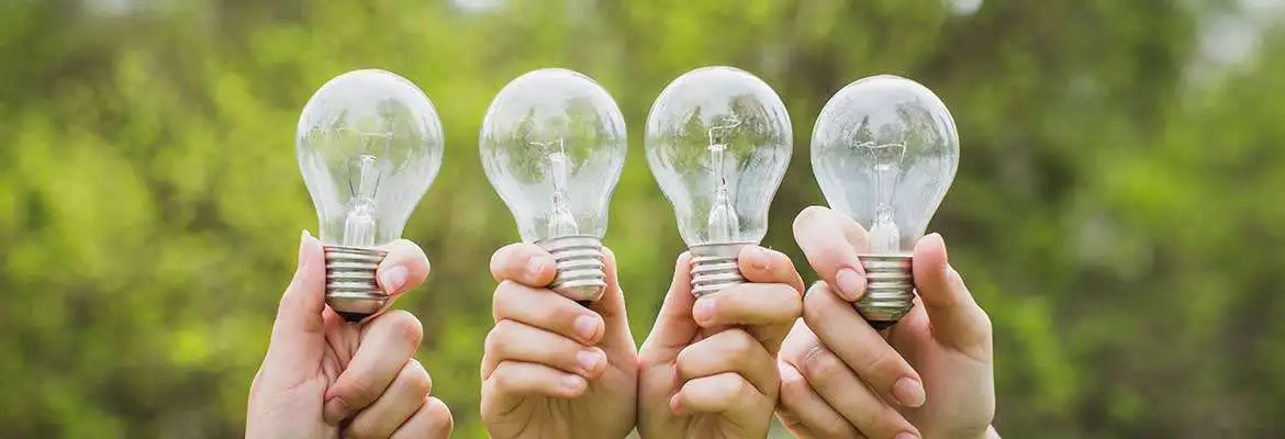 Os Seres Vivos e o Meio Ambiente Os Seres Vivos e o Meio Ambiente