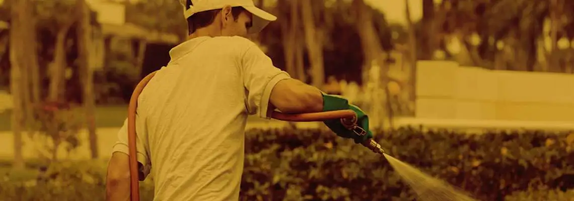 Auxiliar de Serviços Gerais Auxiliar de Serviços Gerais