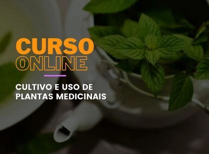 Cultivo e Uso de Plantas Medicinais Cultivo e Uso de Plantas Medicinais
